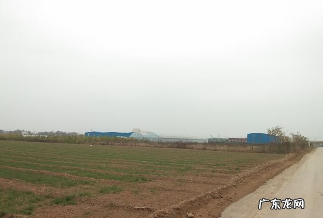 耕地建厂房怎么样合法化,农村使用耕地建厂房需要什么手续和证件