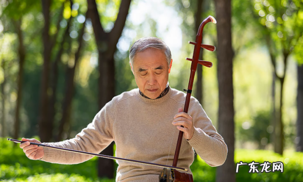 板胡63弦是什么调,f调二胡是什么弦