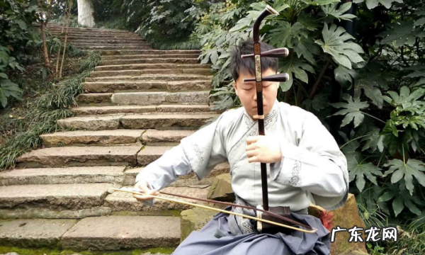板胡63弦是什么调,f调二胡是什么弦