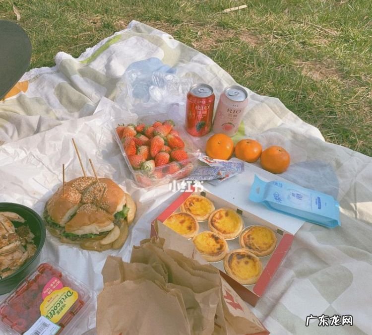 野餐的时候下雨怎么办,如果你和你的小伙伴去野餐天突然下雨了你应该怎么办描述一下不少于50...
