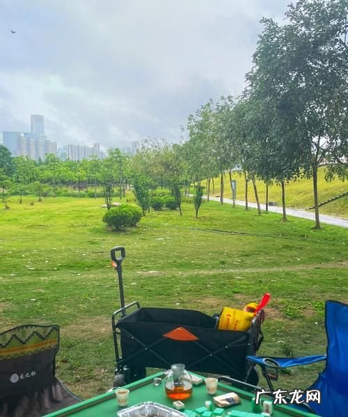 野餐的时候下雨怎么办,如果你和你的小伙伴去野餐天突然下雨了你应该怎么办描述一下不少于50...
