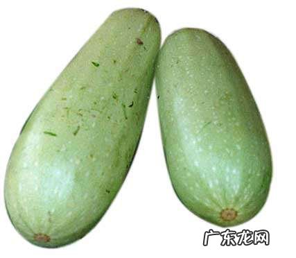 菜瓜又叫什么,什么是菜瓜