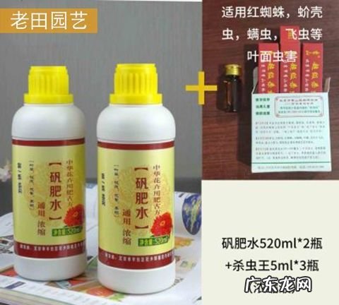 矾肥水怎么不臭,屋里养花有味怎么去除