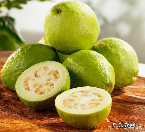 番石榴怎么预防果蝇虫,番石榴