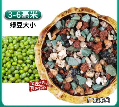 普通石子可以种多肉,多肉植物的泥土可不可以用外面的小石子种植
