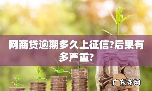 网商贷会影响征信,网商贷借款记录怎么查看