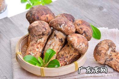 松茸的保鲜及食用方法,新鲜松茸的功效与作用及食用方法保存