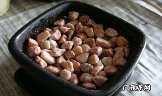 芒果核怎么清洗,芒果核怎样做发卡