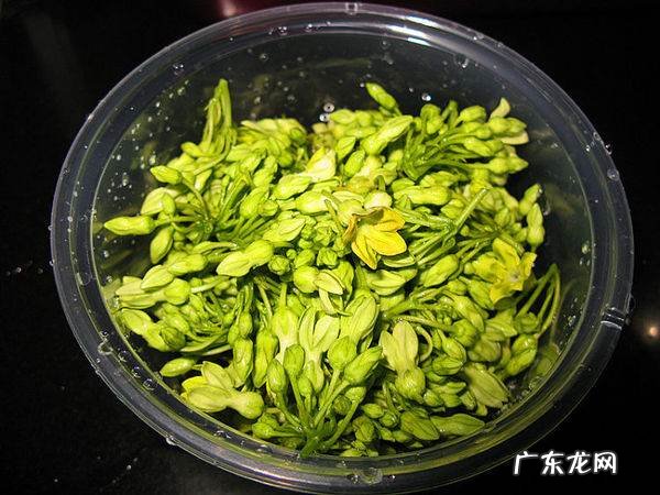 夜香花怎么做才好吃,夜兰花汤的做法大全窍门