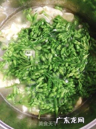 夜香花怎么做才好吃,夜兰花汤的做法大全窍门
