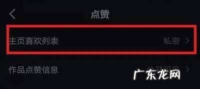 抖音怎么点赞不加喜欢,抖音如何屏蔽地址