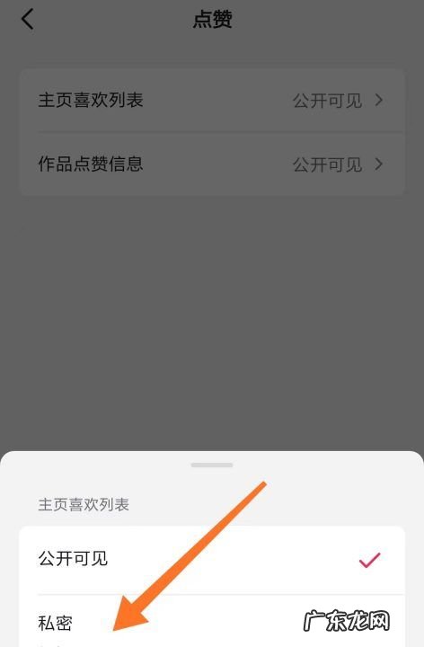抖音怎么点赞不加喜欢,抖音如何屏蔽地址