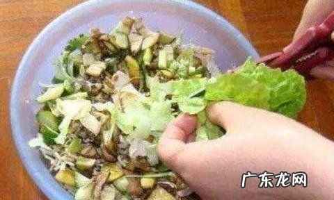 如何制作矾肥水,矾肥水怎么制作不臭