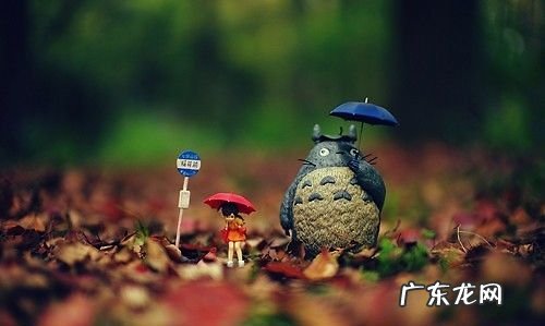 松苏内吉的格言,关于礼的名言
