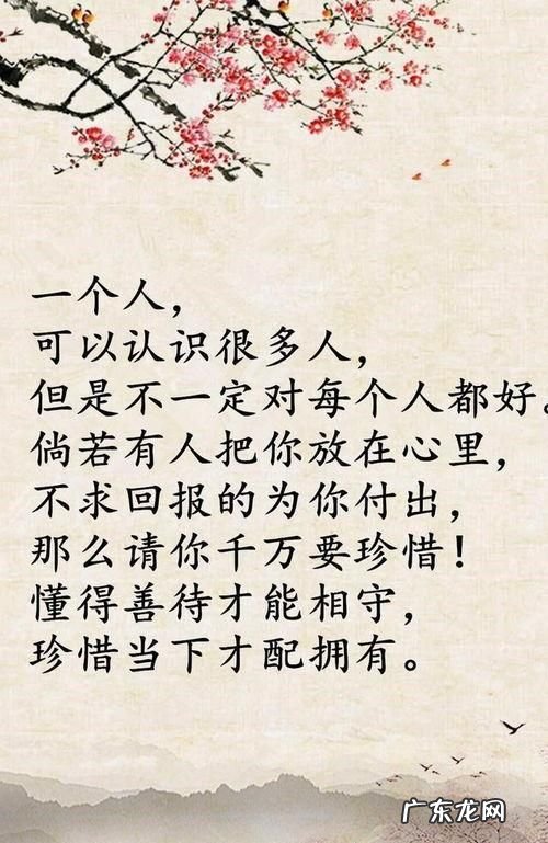 松苏内吉的格言,关于礼的名言