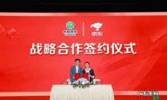 拍拍贷会和京东合作,京东金融拍拍贷和app拍拍贷有区别