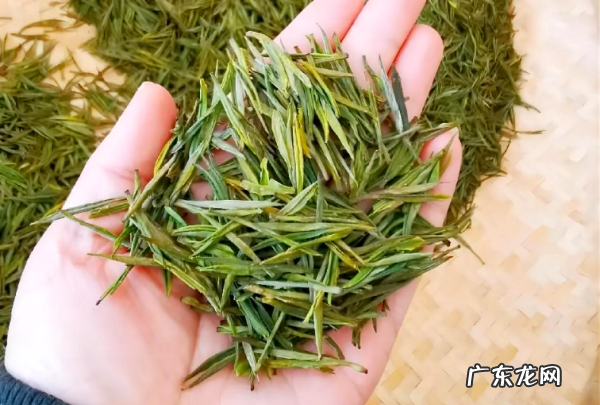 明前茶和雨前茶外观如何区分,明前茶和雨前茶的区别哪个好