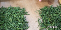 明前茶和雨前茶外观如何区分,明前茶和雨前茶的区别哪个好