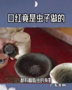口红原料是什么虫子,口红使用什么虫子做的