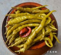 腌酸辣椒的制作方法,酸辣椒怎么泡又酸又脆