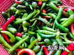 腌酸辣椒的制作方法,酸辣椒怎么泡又酸又脆
