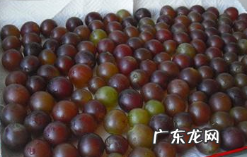 自制葡萄酒多久可以过滤葡萄皮,自制葡萄酒能存放多久