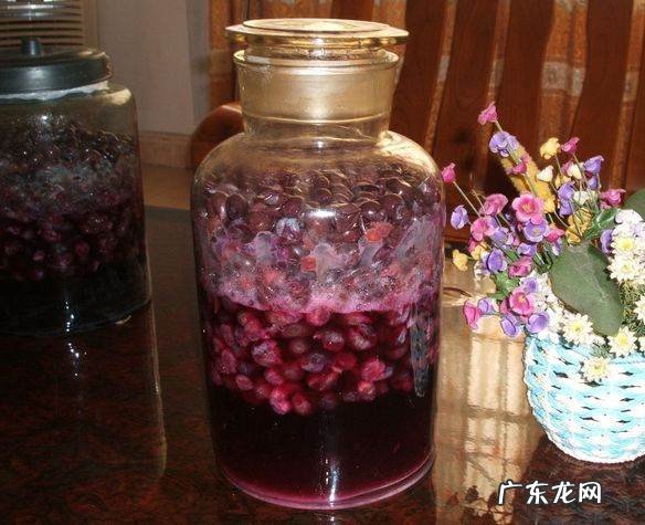 自制葡萄酒多久可以过滤葡萄皮,自制葡萄酒能存放多久