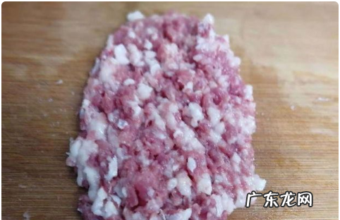 肉饼怎么做又脆又好吃,家常肉饼的做法有哪些又软又好吃