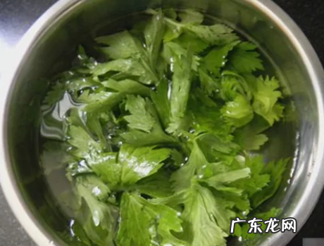 芹菜叶子怎么做好吃,芹菜叶怎么做好吃又简单