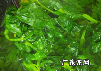 芹菜叶子怎么做好吃,芹菜叶怎么做好吃又简单