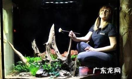 怎么用水缸改鱼缸,如何自制鱼缸