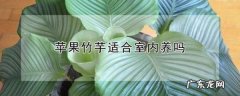 苹果竹芋吸甲醛,青苹果竹芋有毒么能吃