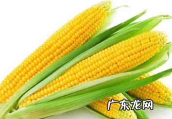西部风老坛玉米的配方,老坛玉米的制作方法含配方