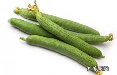丝瓜用焯水不,为什么丝瓜焯水会变黑