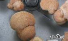 猴头菇吃法,猴头菇干的怎么做好吃