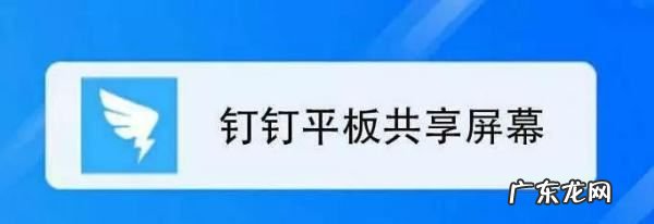 钉钉手机直播怎么联播,钉钉直播学生怎么和老师连麦不开摄像头