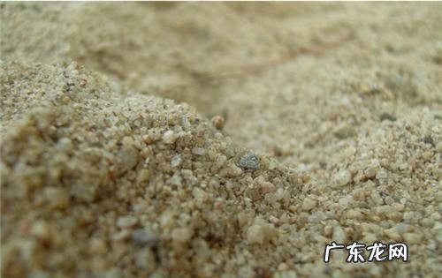 沙的种类如何区分,砂子种类有哪些