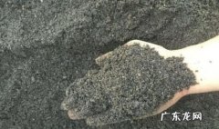 沙的种类如何区分,砂子种类有哪些
