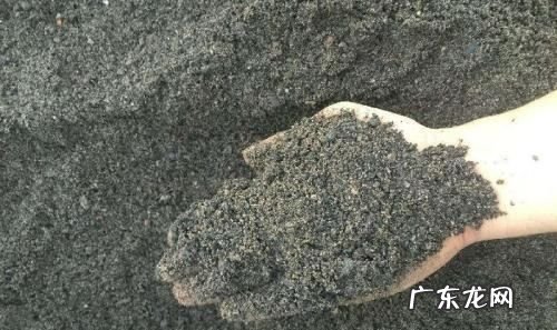 沙的种类如何区分,砂子种类有哪些