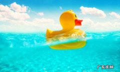 如何漂浮在水面,怎样才能让回形针漂浮在水面上