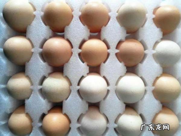 长途带00个鸡蛋不碎法,如何携带鸡蛋不会碎