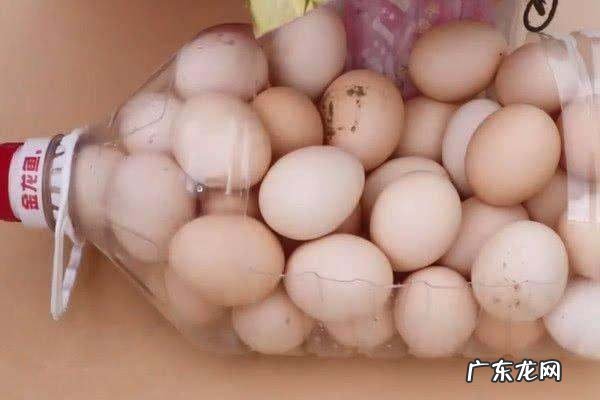 长途带00个鸡蛋不碎法,如何携带鸡蛋不会碎