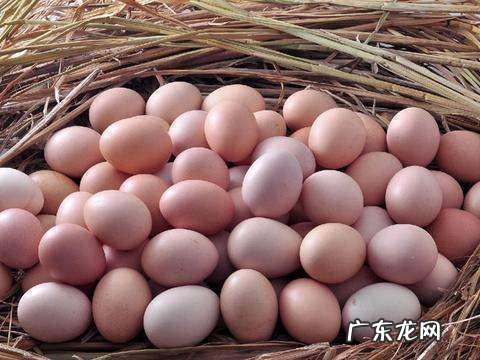 长途带00个鸡蛋不碎法,如何携带鸡蛋不会碎