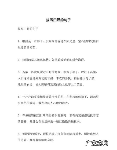 赞美田野的名言,描写石林风景优美的句子