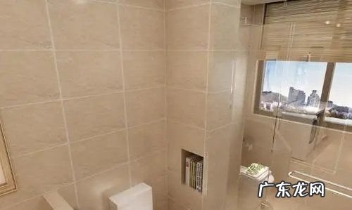 如何将洗手间除湿,卫生间潮湿的地方有那个黑色的