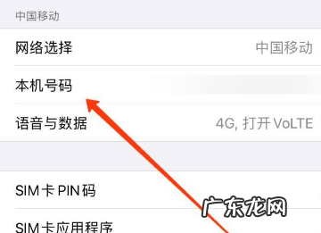 已移除蜂窝移动号码怎么回事,iphone双卡双待怎么设置