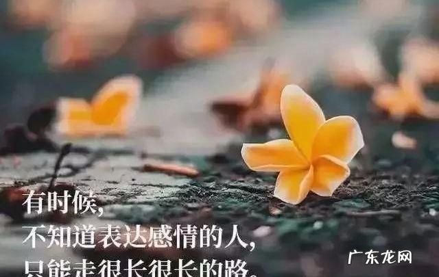 人生追的幸福的经典语录,经典幸福句子合集