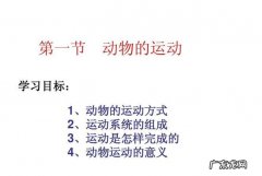 动物运动的意义是什么,动物运动的意义有没有利于物种进化