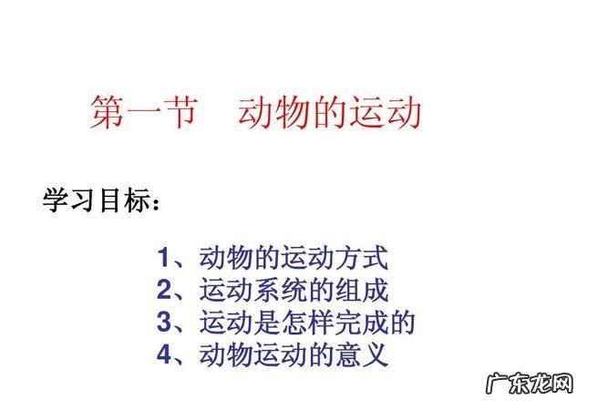动物运动的意义是什么,动物运动的意义有没有利于物种进化