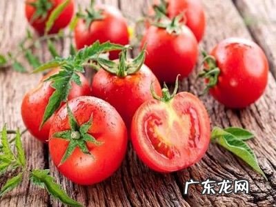 锅烧干以后怎么处理,小电锅干烧后怎么处理